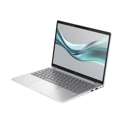 HP 13,3" EliteBook 630 G11, kannettava tietokone, hauenharmaa alumiini