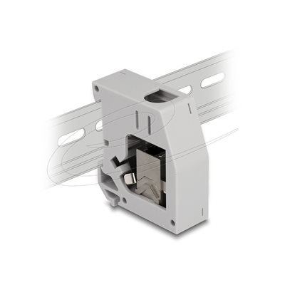 DeLock DIN-kiskoadapteri Cat6a RJ-45-keystone-moduulilla, harmaa
