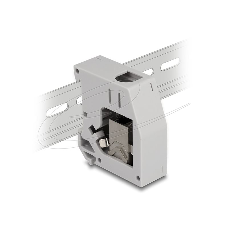 DeLock DIN-kiskoadapteri Cat6a RJ-45-keystone-moduulilla, harmaa