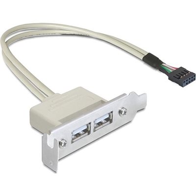DeLock Sisäinen kaapeli USB 2.0, 1x IDC10 uros -> 2x USB 2.0 A naaras, 0,5m (Poistotuote! Norm. 8,90€)