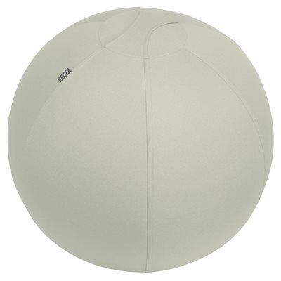 Leitz Ergo, aktiivipallo lisäpainolla, 65cm, vaaleaharmaa