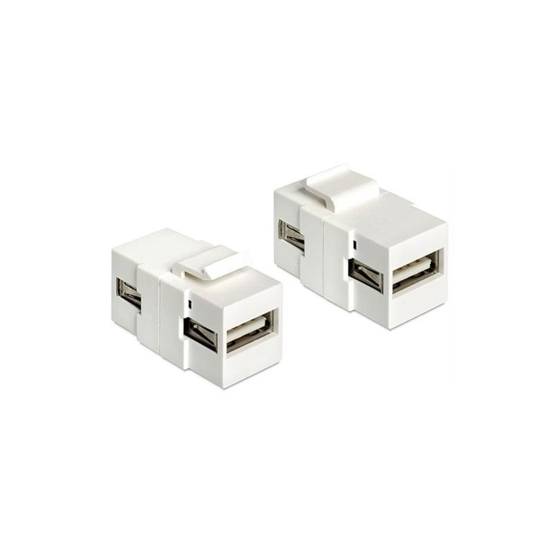 DeLock Keystone moduli, USB 2.0 Typ A naaras - USB Typ A naaras, valkoinen