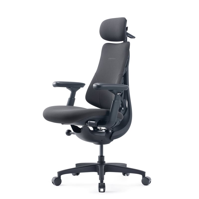 LiberNovo Omni Gen Ergonominen tuoli- 48cm, Graphite Gray