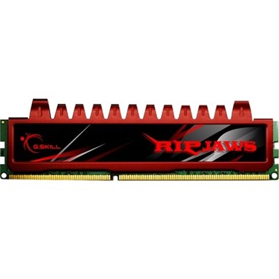 G.Skill 4GB Dual Kit Ripjaws DDR3-1600 F3-12800CL9D-4GBRL 9-9-9-24