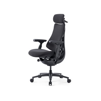LiberNovo Omni Pro Ergonominen tuoli- 48cm, Graphite Gray