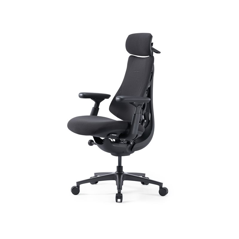 LiberNovo Omni Pro Ergonominen tuoli- 48cm, Graphite Gray