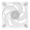ARCTIC (Outlet) P12 PWM PST A-RGB 0dB, 120mm laitetuuletin, valkoinen