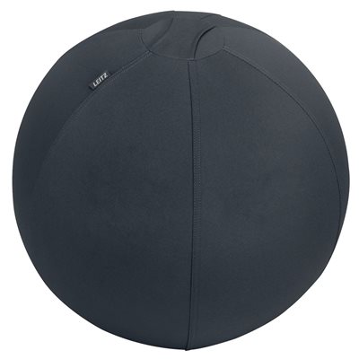 Leitz Ergo, aktiivipallo lisäpainolla, 55cm, tummanharmaa