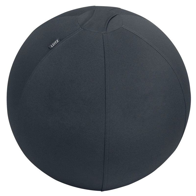 Leitz Ergo, aktiivipallo lisäpainolla, 55cm, tummanharmaa