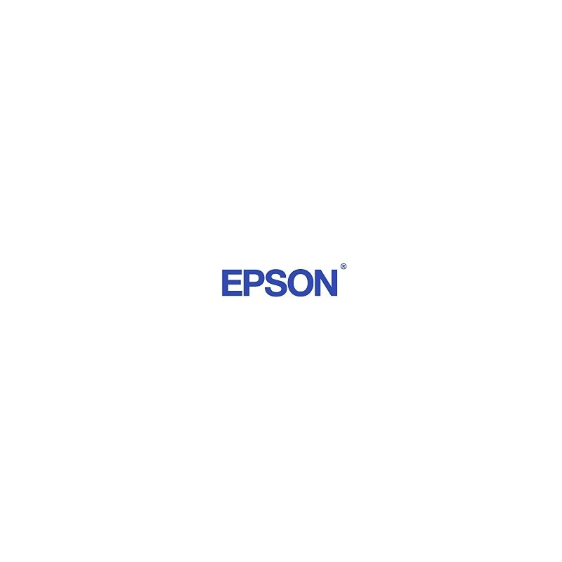 Epson T596 Mustekasetti Light Syaani 350 Ml