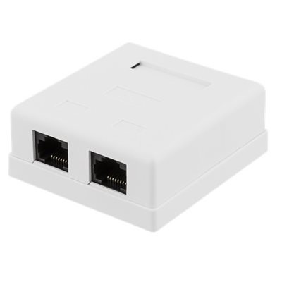 Deltaco Datarasia pinta-asennukseen, 2x suojaamaton Cat6 UTP, valkoinen