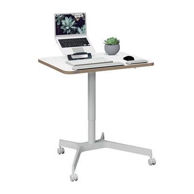 Leitz Ergo Small, manuaalisesti säädettävä pöytä pyörillä, 80 x 60 cm, 750 - 1140 mm korkeus, valkoinen