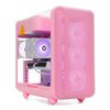 Jimm's GtG PinkyStraw, pelitietokone